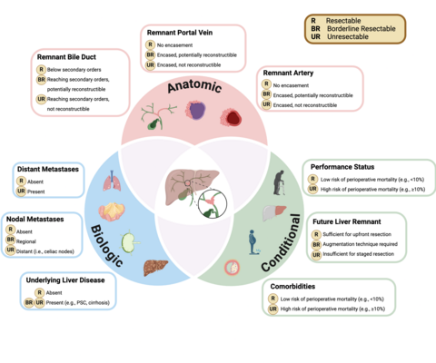 Recommendations on Perihilar Cholangiocarcinoma